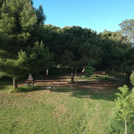 Paradiso Kemping Pesaro