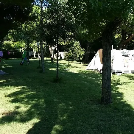 Paradiso 3*